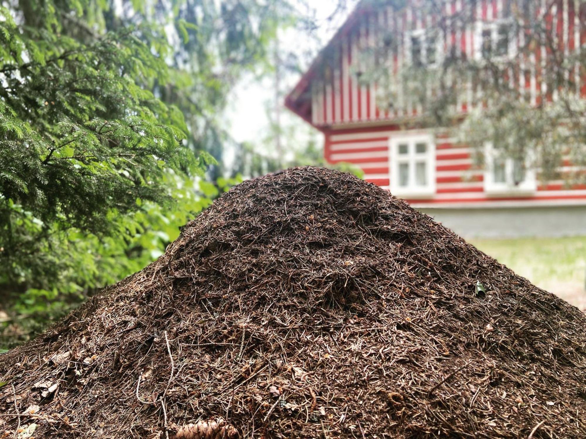 Janovice Holiday home *