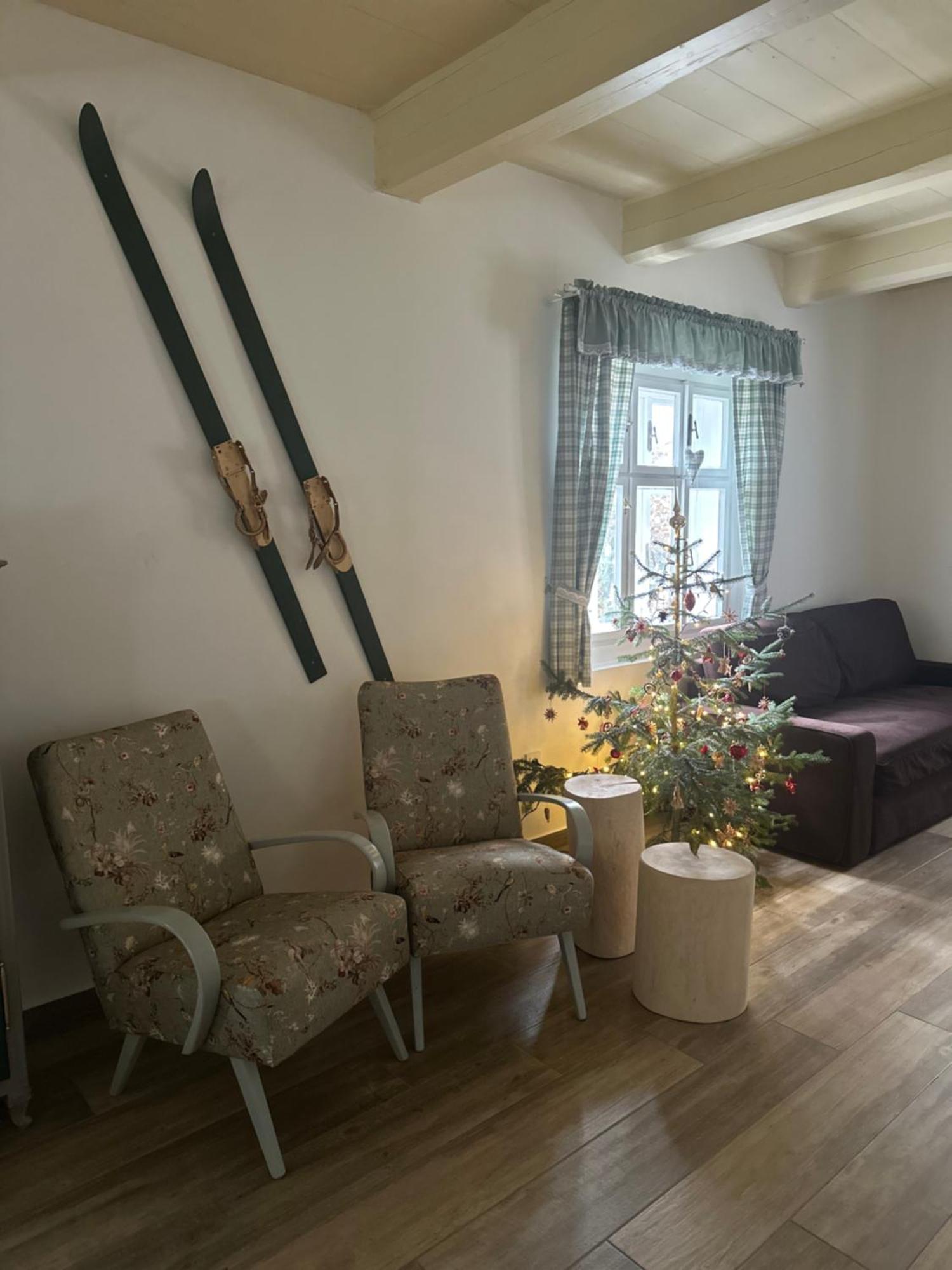 Holiday home Janovice *